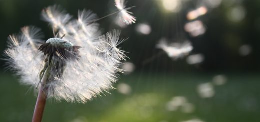 13 versi per vivere - Gabriel Garcia Marquez