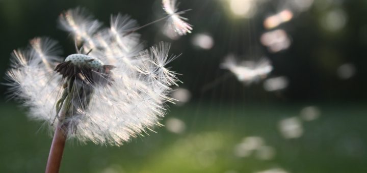 13 versi per vivere - Gabriel Garcia Marquez