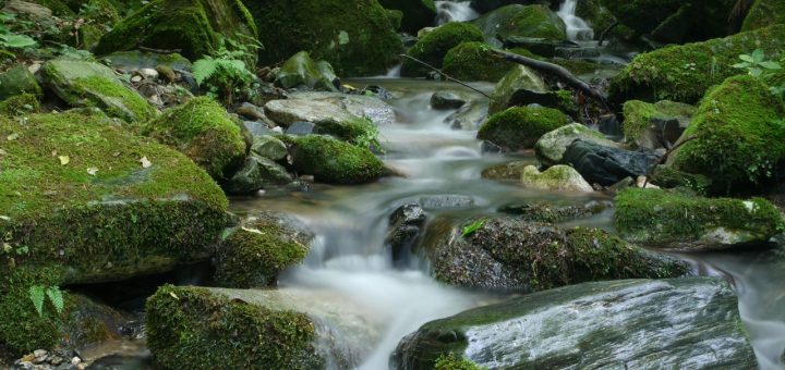 Il fiume e l'oceano - Osho