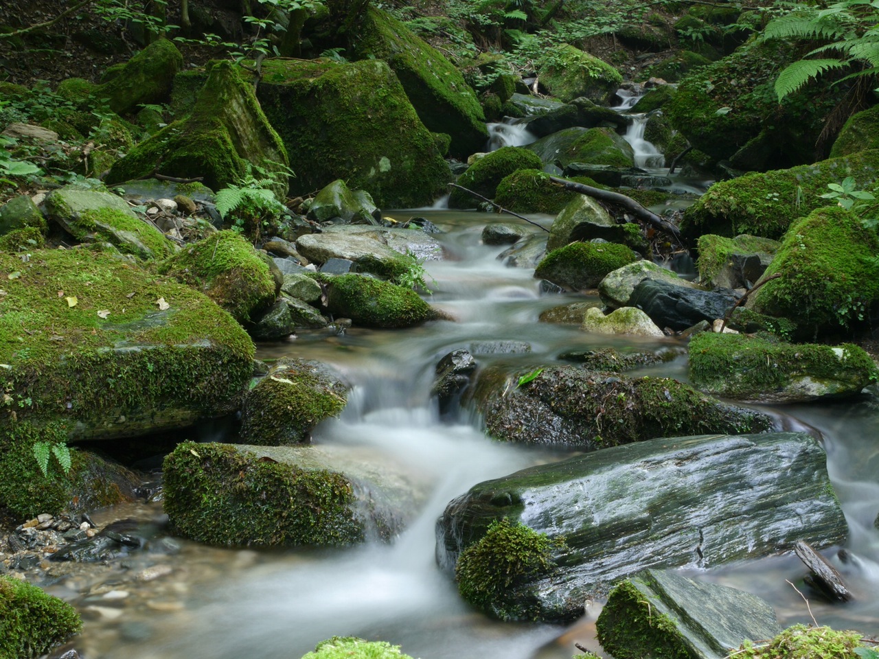 Il fiume e l'oceano - Osho