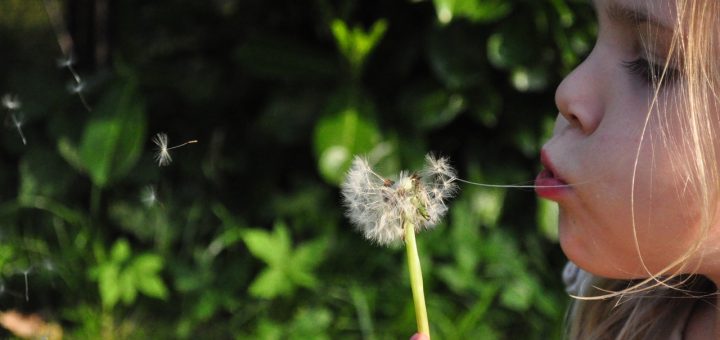 la preziosità della vita - henri nouwen